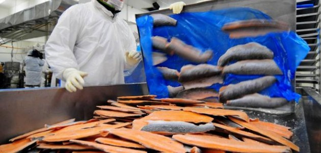 CHILE-SALMON-INDUSTRY